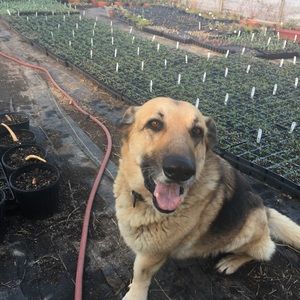 Meet your Posher, Mariana